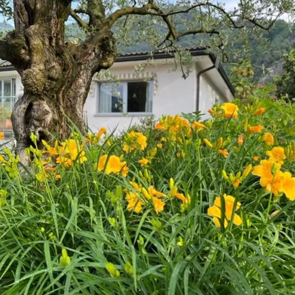 Sansoucis, hotel Tegnában