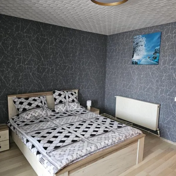 Garsoniera Dary strada Mihai Bravu bloc G1 Vis a Vis de ROYAL PALACE, hotel in Turnu Măgurele