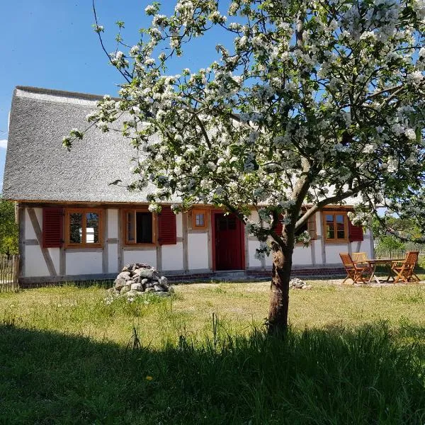 Fischerhus Lütt Hauke 69 qm Traudel, hotell i Rieth