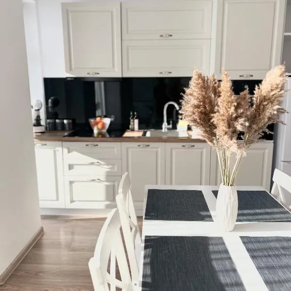 Central Residence, hotel in Baia Mare