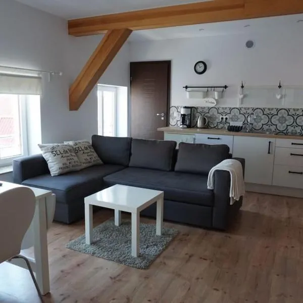 Apartament nad morzem BALTICA, hotel in Jastarnia