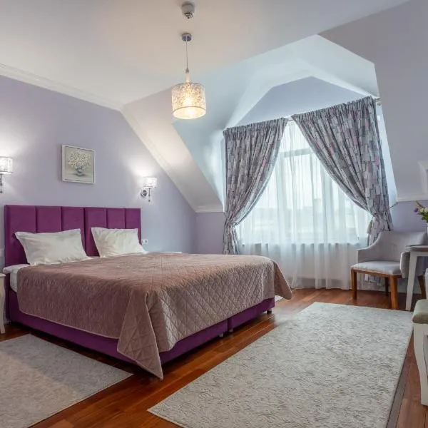 Vila Missy, hotel v destinaci Deva