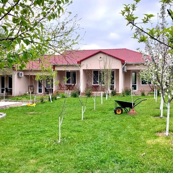 Cozy Family Cottages, hotel v destinaci Vǝndam