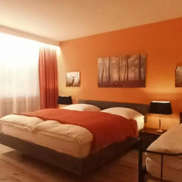 도나우에슁엔에 위치한 호텔 호텔 발트블리크