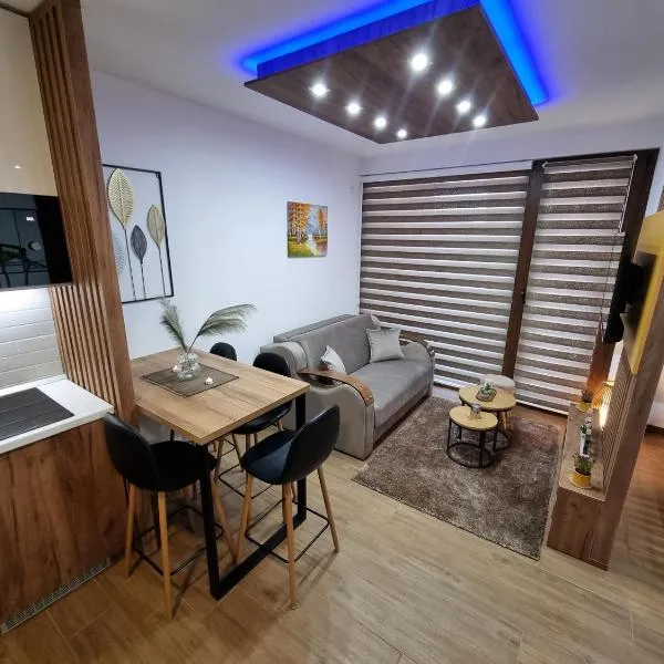 Luxury Apartment Borovi 2, hotel in Divčibare