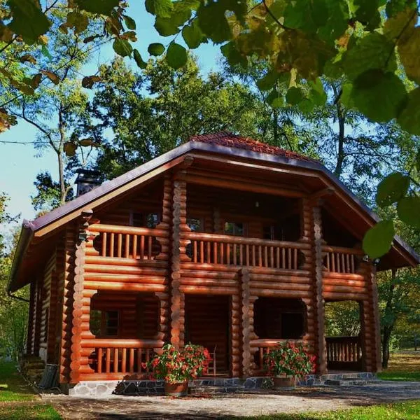 Luxury Chalet at Podlipje Estate, hotel in Tešanovci