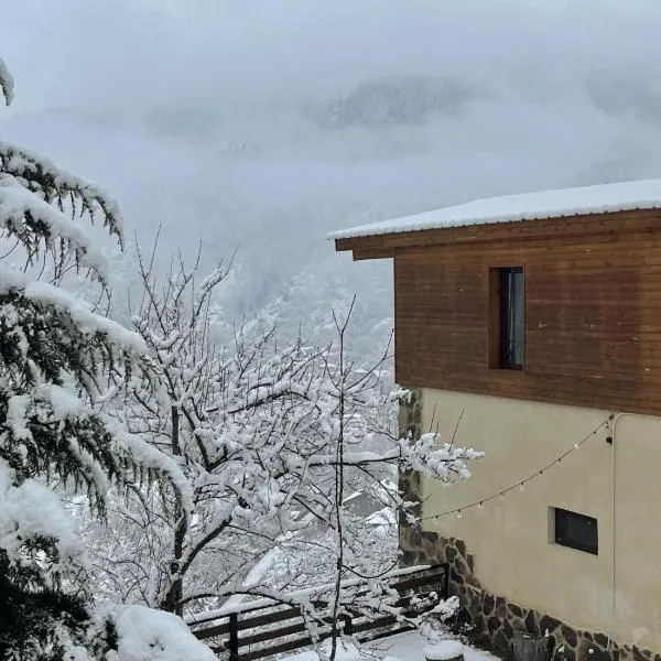 Likani-house's Cottage, hotel in K'vabiskhevi