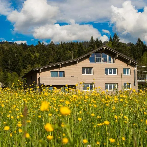 Haus Feurstein, Hotel in Hittisau
