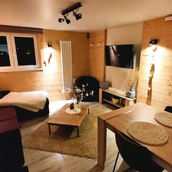 Joli Appartement Cosy 2 à 4 pers avec terrasse La Fourmi – hotel w mieście Orbey