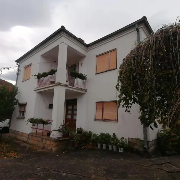 Kuca za odmor Marina Jelenkovic, hotel v mestu Knjazevac.