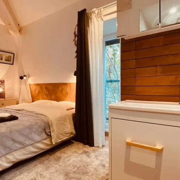 Superbe appartement proche de Paris, hotel i Saint-Maurice