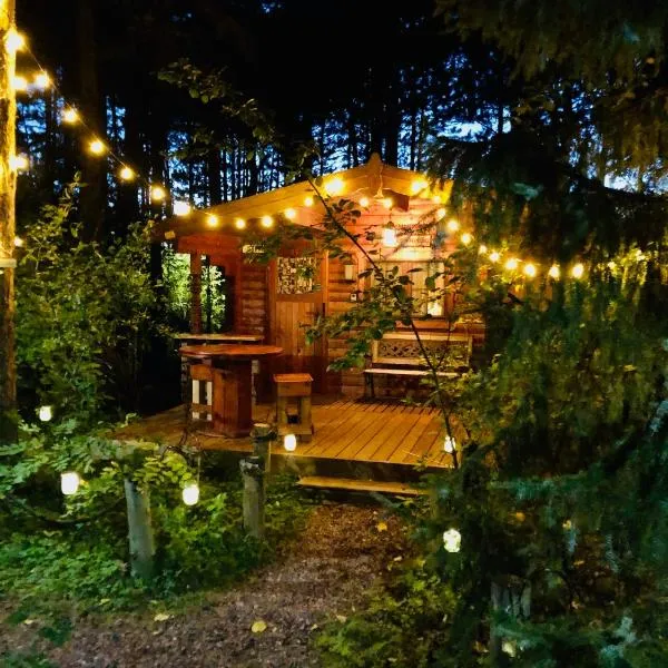 Fancy Fireflies Cabin, hotel v destinaci Hayward