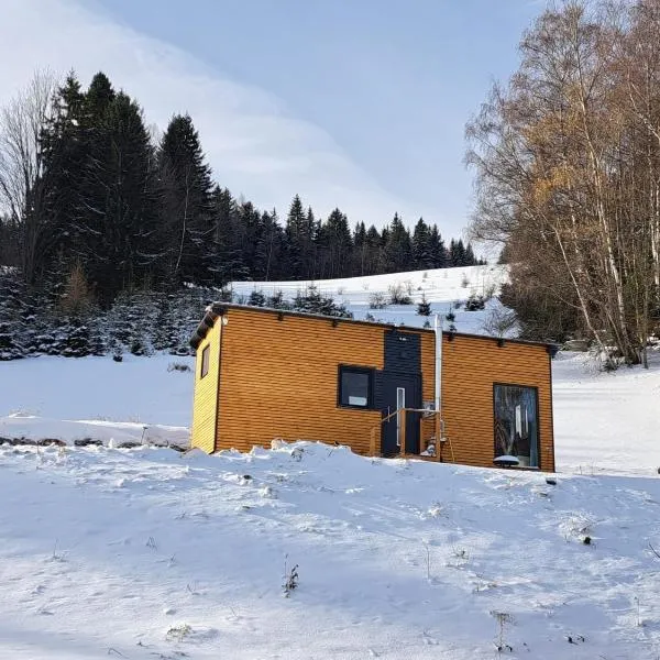 Tinyhaus Villa to go, hótel í Reichenau