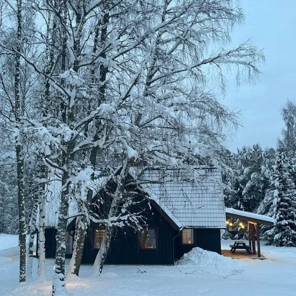 Brīvdienu māja Vējiņi, hotell i Straupe