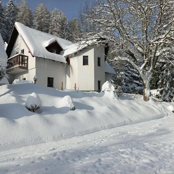 Pension DORO, hotel v Černém Dole