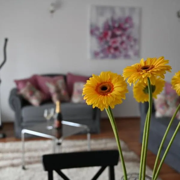 Apartmani Lucija, hotel Ludbregben