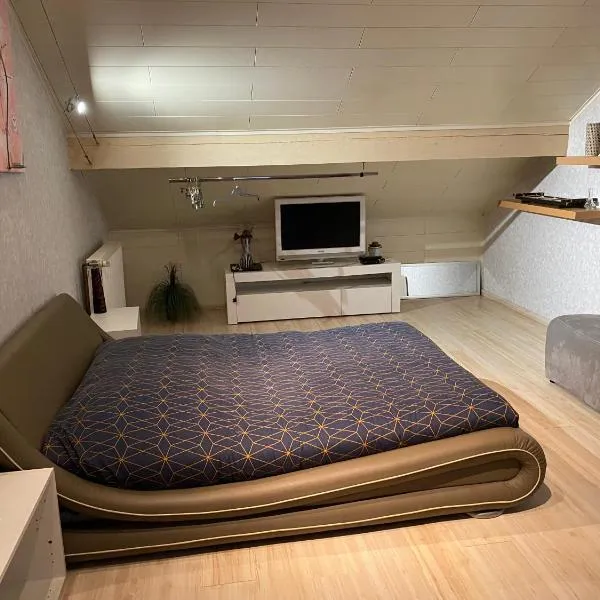 Aline ROBERT, hotel v destinaci Saint-Jean-de-Bassel