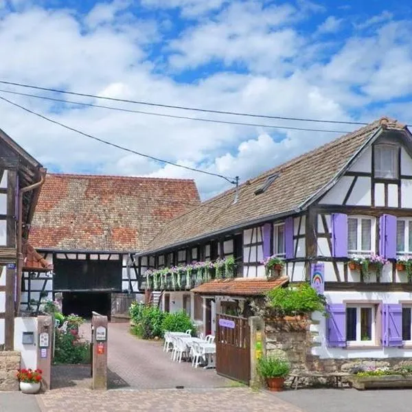 A l'arc en ciel, hotel in Blaesheim