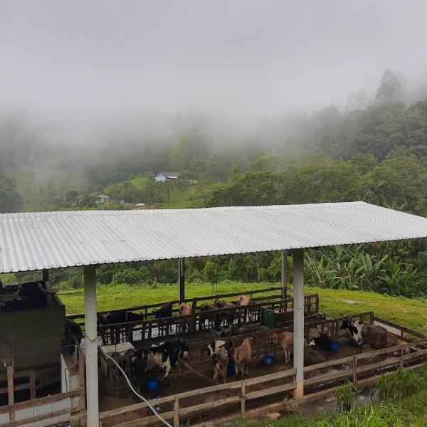 Sitio Hoffmann - Foto 4