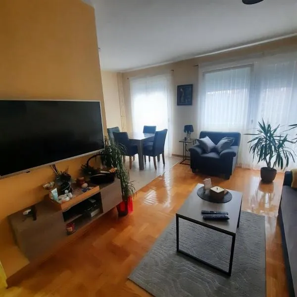 Apartman JOVANA, hotel em Dušanovac (historical)