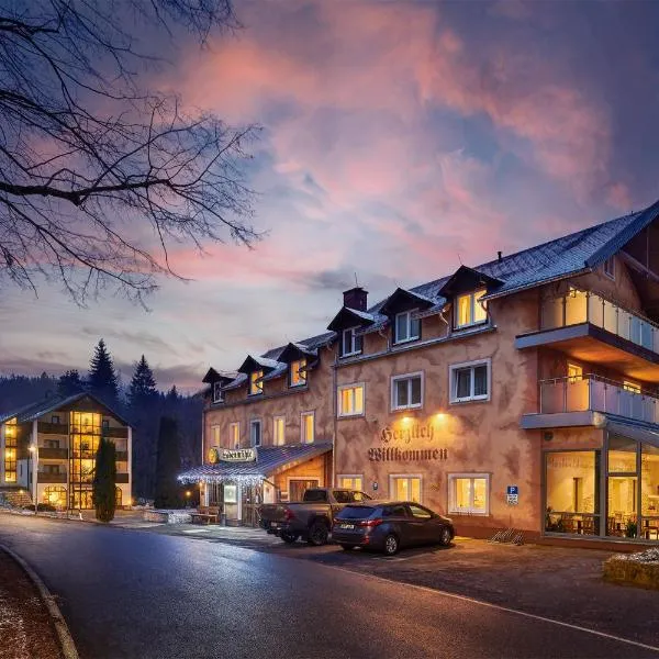 Hotel Ladenmühle, hotel in Schellerhau