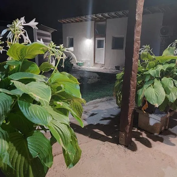 Lymore Guest house, hotel Palamarkában