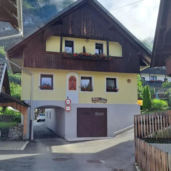 Apartmaji JOŠT, hotel v destinaci Bohinj