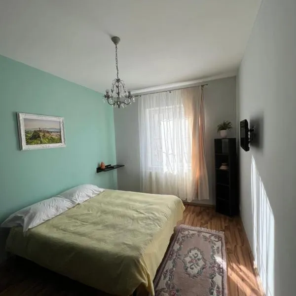 Ovidius apartament、Cisnădieのホテル