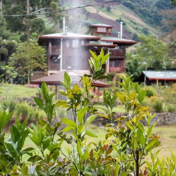 Los Quetzales Ecolodge & Spa, hotel v destinaci Cerro Punta