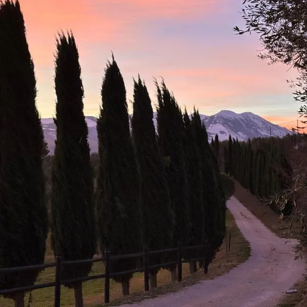 Agriturismo La Masseria - La casa tra gli alberi, hotel v destinaci Cugnoli