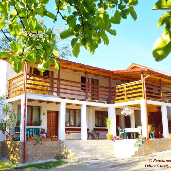 Pensiunea Valea Cernei, khách sạn ở Topliţa