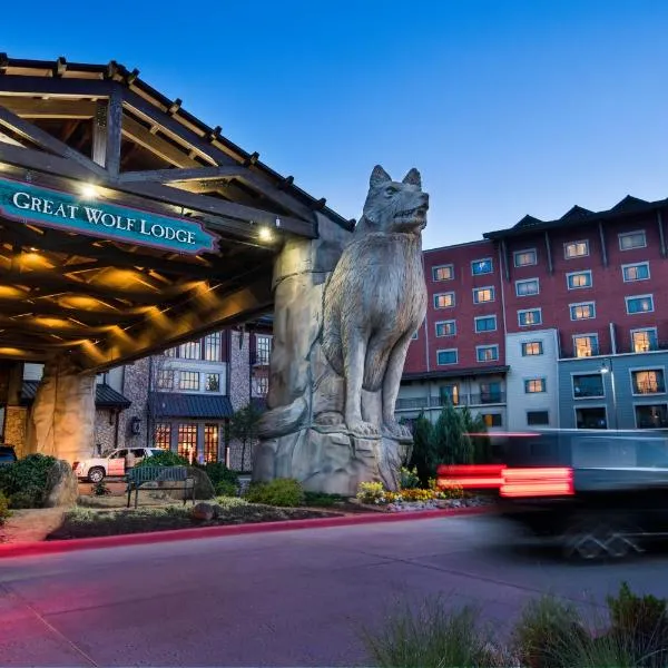 Great Wolf Lodge Grapevine, hotel v destinaci Grapevine