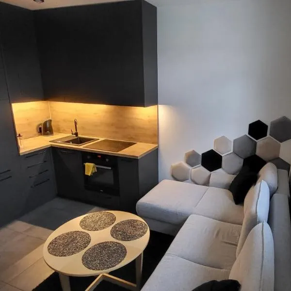 KLIF 3 Mini-Apartament, ξενοδοχείο σε Warka
