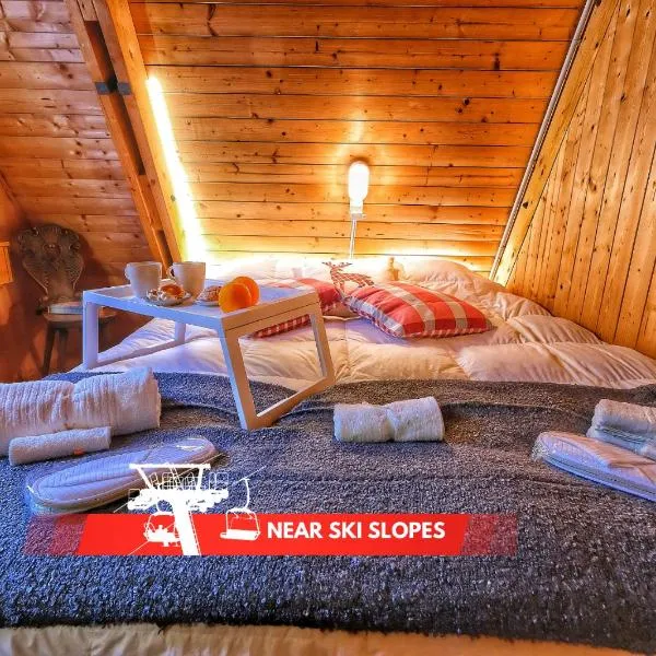 ~Chalet_Rifugio tra i boschi~, hôtel à Sella Nevea