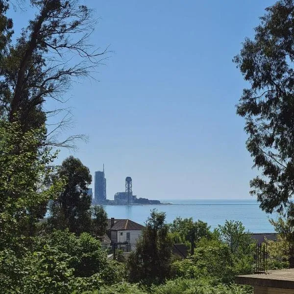 Villa TG, hotel v destinaci Batumi