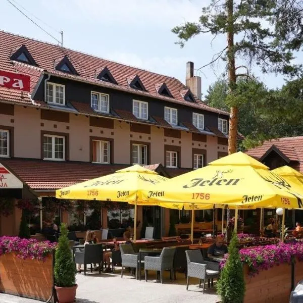 Hotel Pepa，迪夫伊拜的飯店