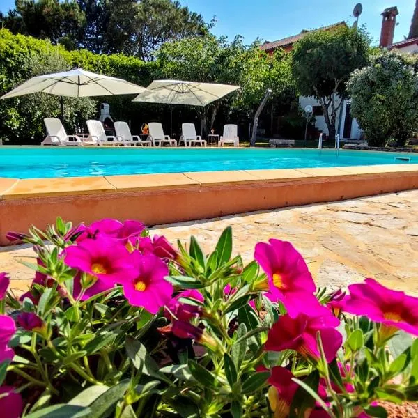 Beautiful apartment for two with a pool, hotel in Rovinjsko Selo
