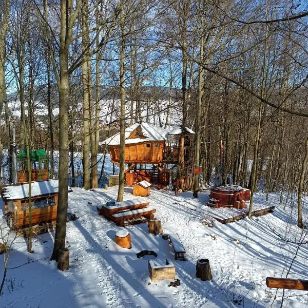 Treehous Sněžník s wellness, hotel in Dolní Morava