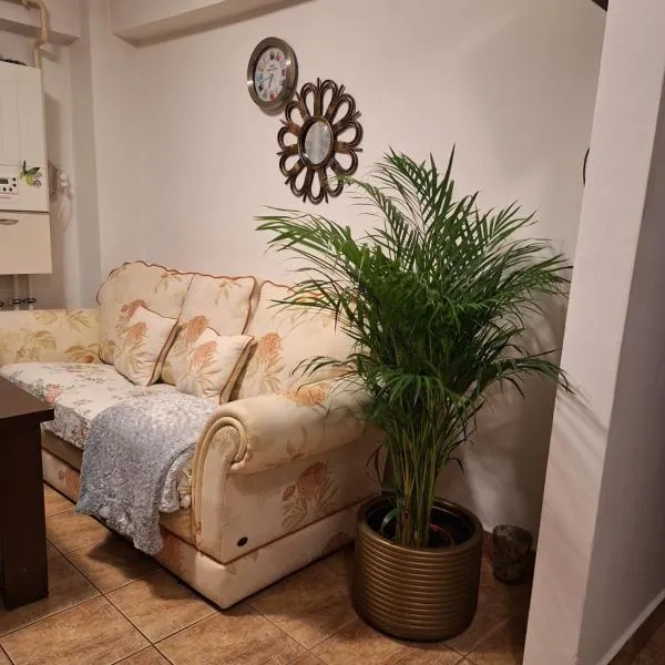 Apartament Florina, khách sạn ở Râmnicu Vâlcea