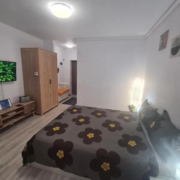 Siriului Studio, hotel in Bucharest