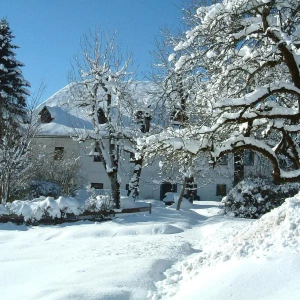 Steiner Stammhaus, hotel v destinaci Vorderstoder