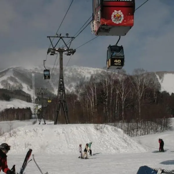 静かな田舎の一軒家 ご家族友達観光大型スキー場近郊, hotel in Mikage