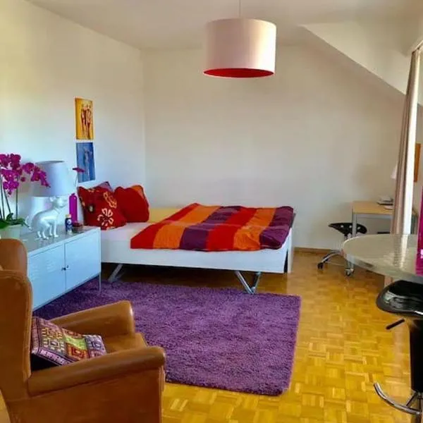 Bright and quite Appartment with Balcony & Skylines View, Kitchen,Bath,Wifi, Fan, hotell sihtkohas Basel