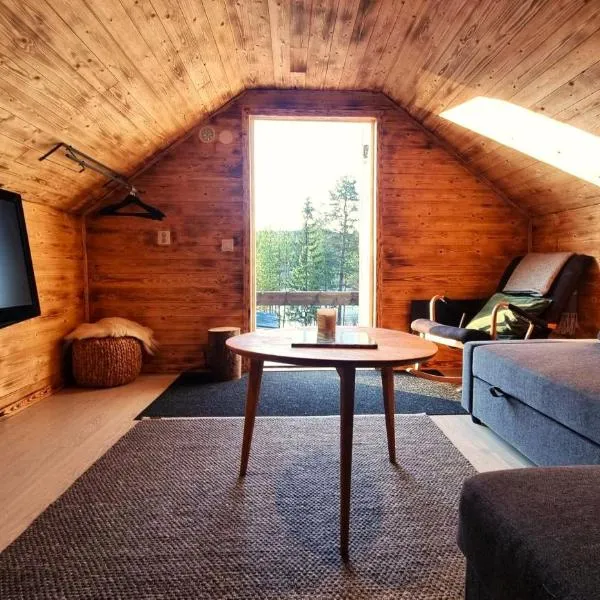 Cozy Cabin Styled Loft, hotel v destinaci Kiruna