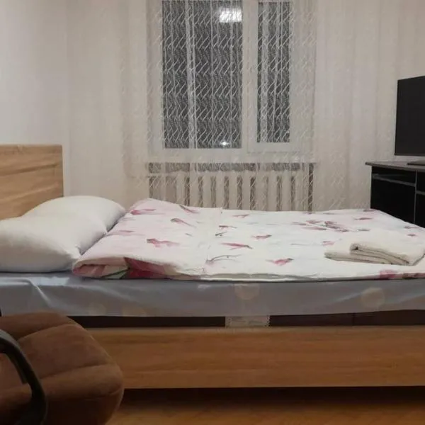 Трикімнатна Карпенка біля Порт-Сіті, hotel in Lutsk