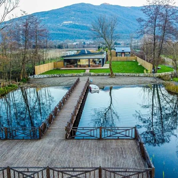 Vital Göl Sapanca Özel Havuzlu Bungalov & Villa, hotel in Sapanca