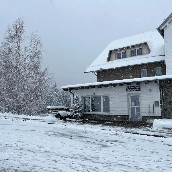 Apartmajska hiša Breza, hotel in Radlje ob Dravi