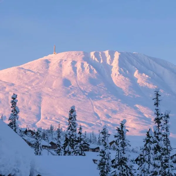 Gausta Lodge med elbillader, nærhet til Gaustatoppen Ski in ski out, hôtel à Gaustablikk