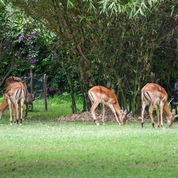 Lukenya Getaway, hotel v destinaci Athi River