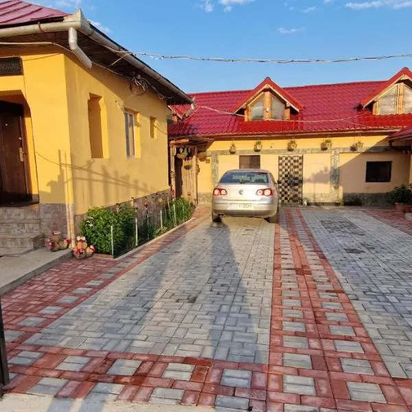 CASA ANDREEA, hotel in Novaci-Străini